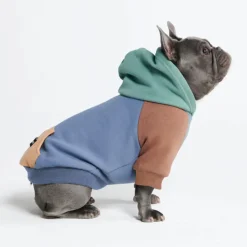 Alpine Dog Hoodie