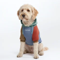 Alpine Dog Hoodie