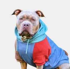 Alpine Human Hoodie