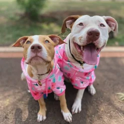 Blossom Dog Hoodie - Pink