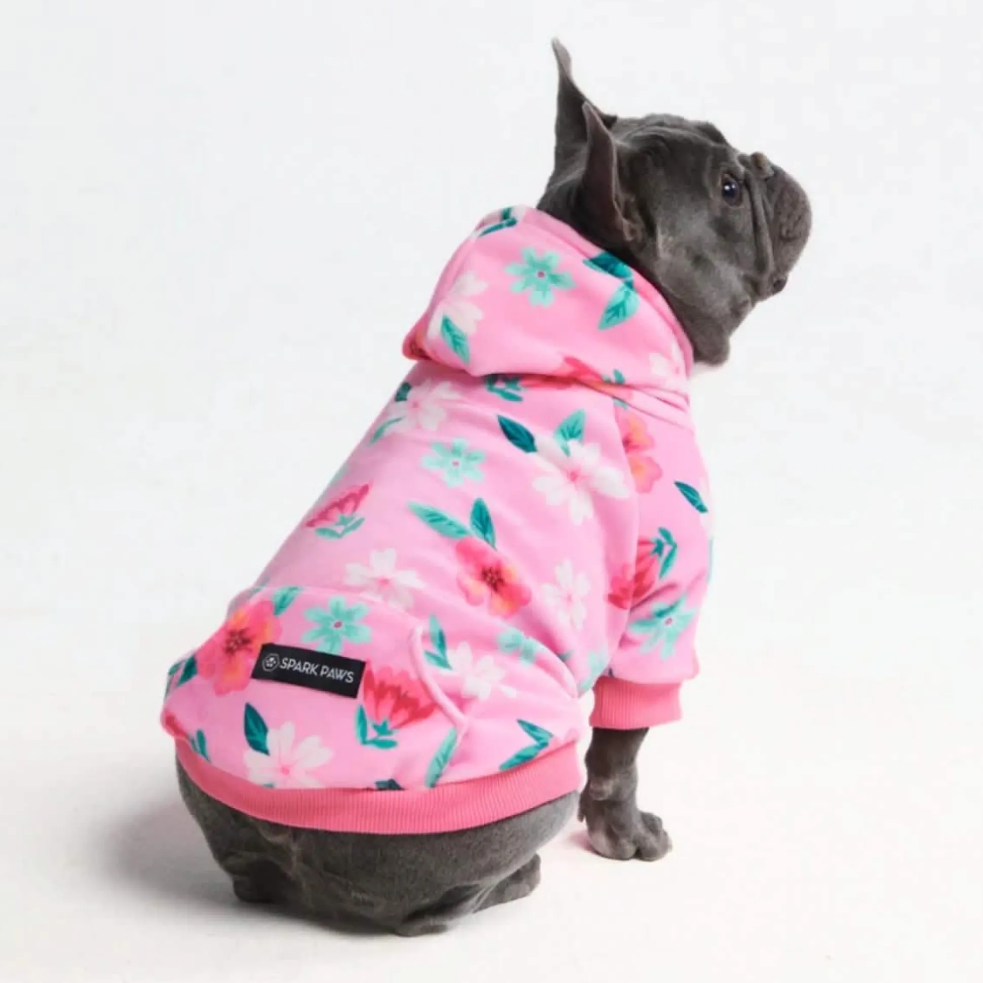 Blossom Dog Hoodie - Pink