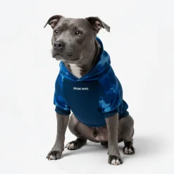 Blue Camo Dog Hoodie