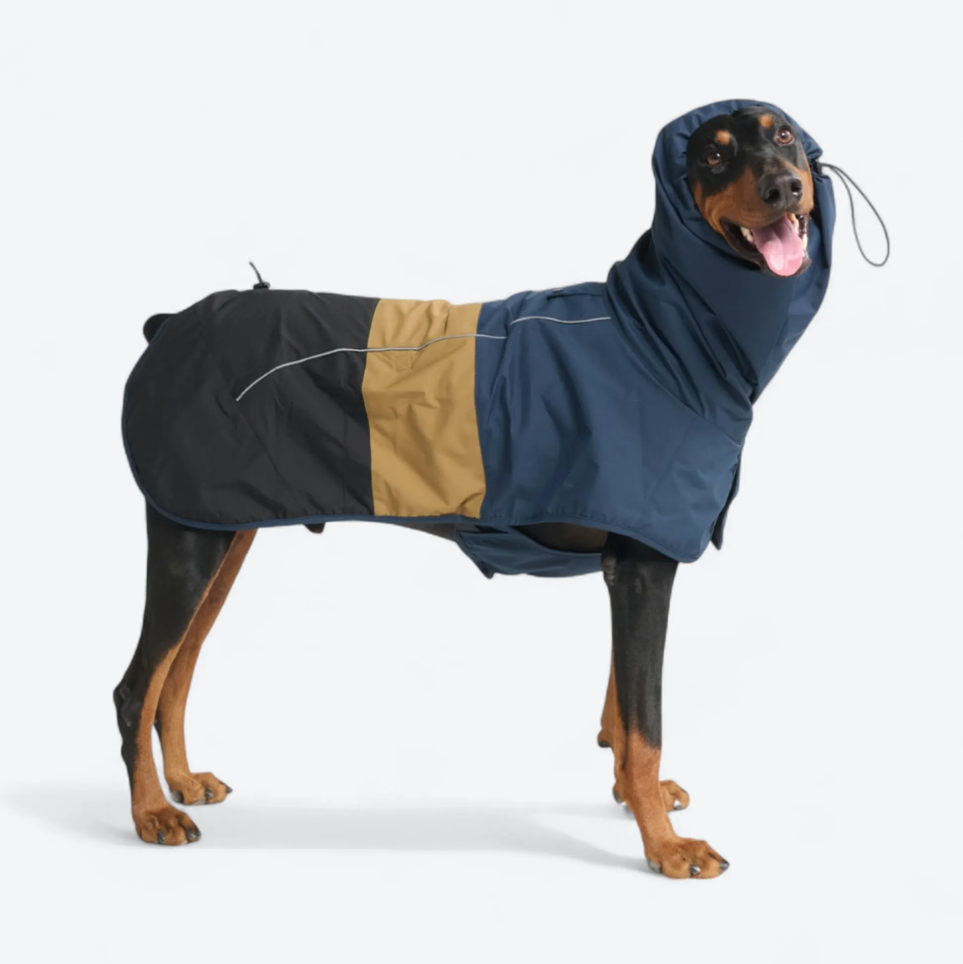 Breatheshield™ Dog Raincoat - Blue Gold Black