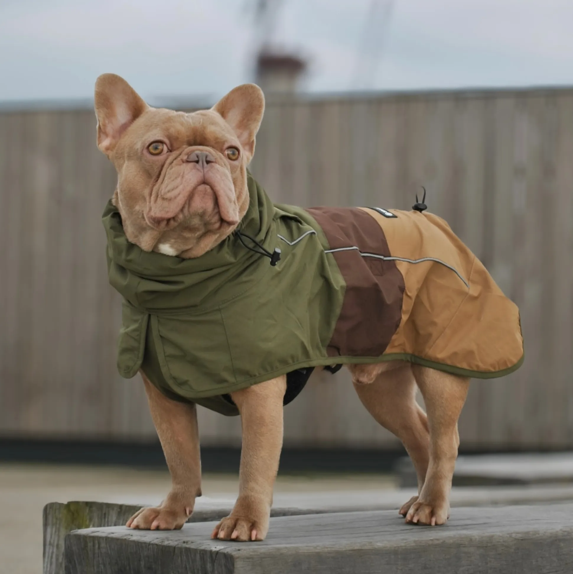 Breatheshield™ Dog Raincoat - Green Brown Tan