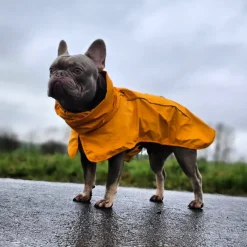 Breatheshield™ Dog Raincoat - Mustard Yellow