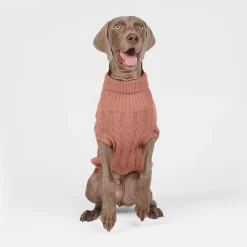 Cable Knit Dog Sweater - Brown