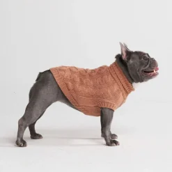 Cable Knit Dog Sweater - Brown