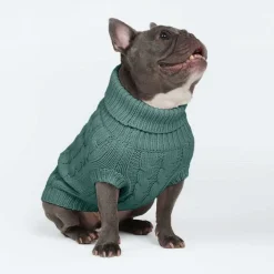 Cable Knit Dog Sweater - Pine Green