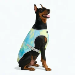 Chilltech™ Dog Cooling Vests