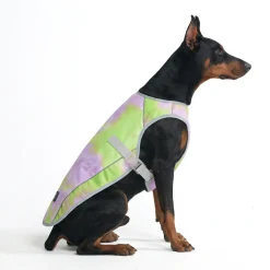 Chilltech™ Dog Cooling Vests