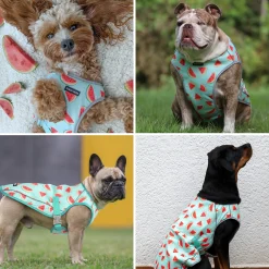 Chilltech™ Dog Cooling Vests