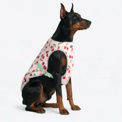 Chilltech™ Dog Cooling Vests