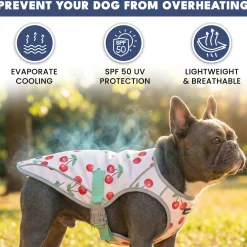 Chilltech™ Dog Cooling Vests