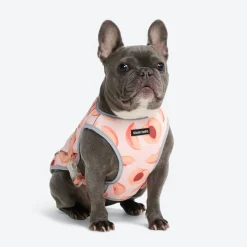 Chilltech™ Dog Cooling Vests