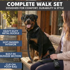 Comfort Control Collar and Multipurpose Leash Sets