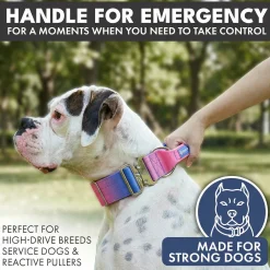 Comfort Control Collar and Multipurpose Leash Sets