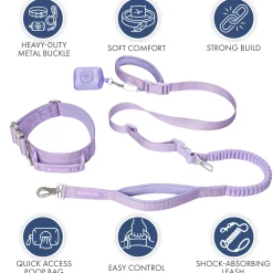 Comfort Control Collar and Multipurpose Leash Sets