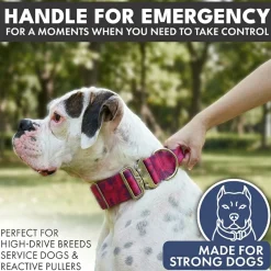 Comfort Control Collar and Multipurpose Leash Sets