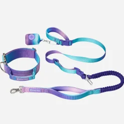 Comfort Control Collar and Multipurpose Leash Set - 90s Retro