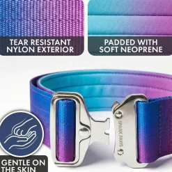 Comfort Control Collar and Multipurpose Leash Set - 90s Retro