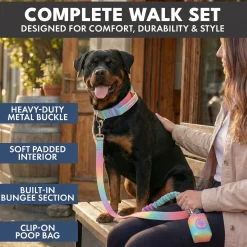Comfort Control Collar and Multipurpose Leash Set - Pastel Icing