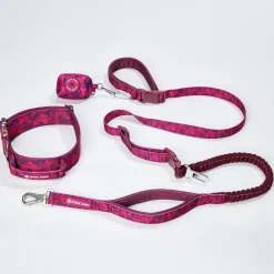 Comfort Control Collar and Multipurpose Leash Set - Fuchsia Camo