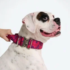 Comfort Control Collar - Fuchsia Camo