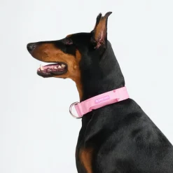 Comfort Control Collar - Pink