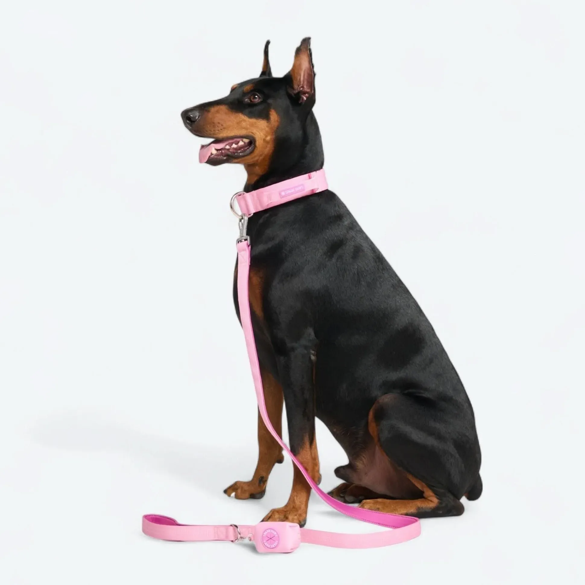Comfort Control Collar - Pink