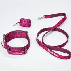 Comfort Control Collar Set - Fuchsia Camo