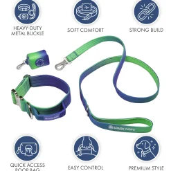 Comfort Control Collar Set - Lime Wave