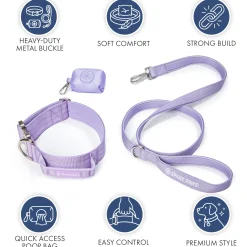 Comfort Control Collar Set - Lilac
