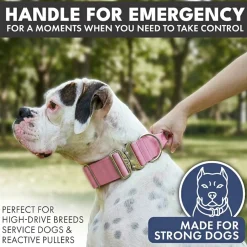 Comfort Control Collar Set - Pink