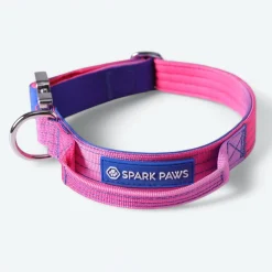 Comfort Control Collar Set - Snow Cone