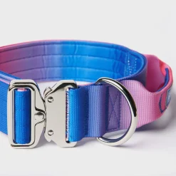 Comfort Control Collar Set - Snow Cone