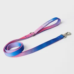 Comfort Control Collar Set - Snow Cone
