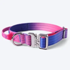 Comfort Control Collar Set - Snow Cone
