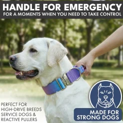 Comfort Control Collar Set - 90s Retro