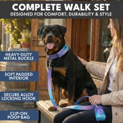 Comfort Control Collar Set - 90s Retro