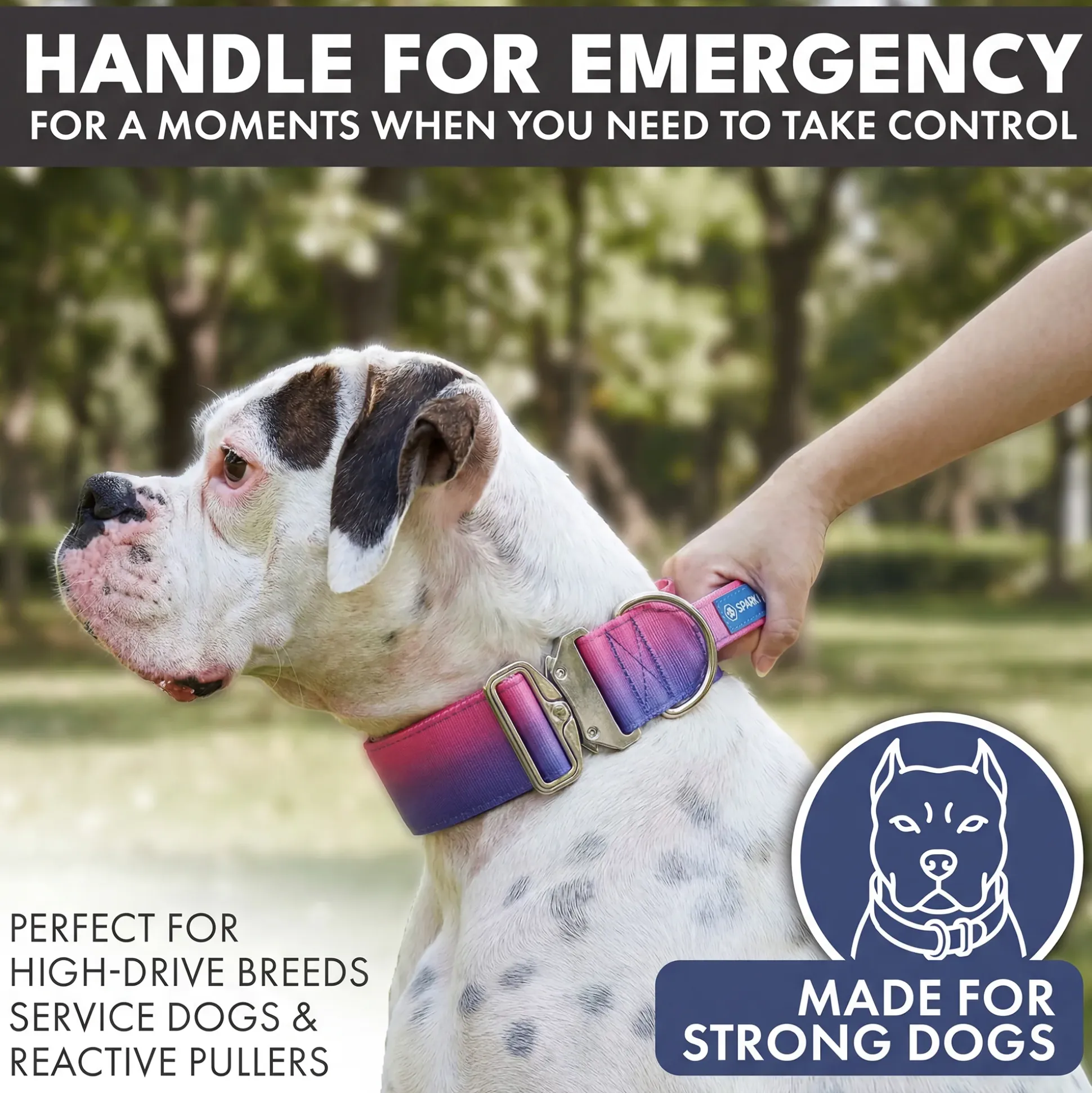 Comfort Control Collar - Snow Cone