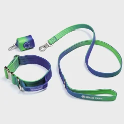 Comfort Control Dog Collar Sets