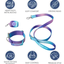 Comfort Control Dog Collar Sets