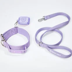 Comfort Control Dog Collar Sets