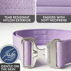 Comfort Control Dog Collar Sets