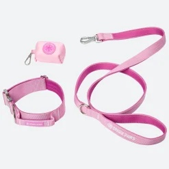 Comfort Control Dog Collar Sets