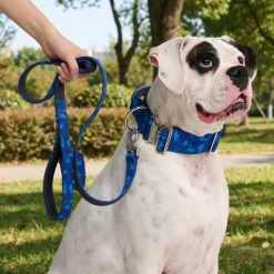 Comfort Control Dog Collar Sets