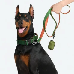 Comfort Control Dog Collar Sets