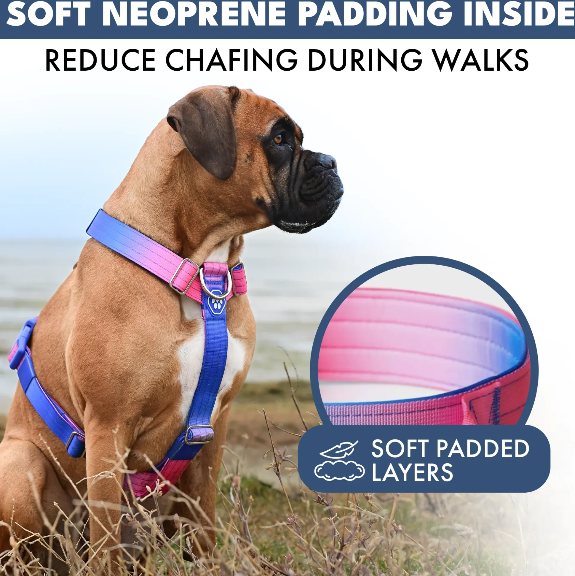 Comfort Control No-Pull Dog Harness - Snow Cone
