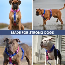 Comfort Control No-Pull Dog Harness - Snow Cone