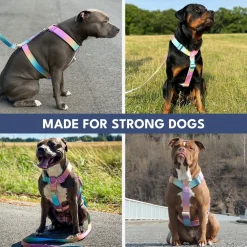 Comfort Control No-Pull Dog Harness and Multipurpose Leash Sets